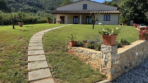 A house with a stone wall and a paved pathway leading to the entrance. - Villa in Lucca with 3 bedrooms sleeps 7 (Lucca)