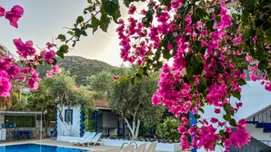 Unclassified image, 2 of 74, button - Pineloft Selimiye (Marmaris)
