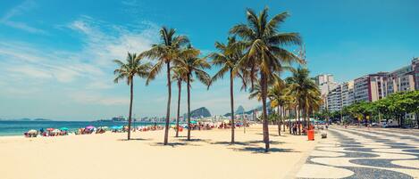 Plage à proximité, chaises longues, serviettes de plage