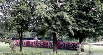 Modernes Apartment; 2 min. zum Freizeitpark und 5 min. zur Europatherme