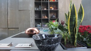 A modern interior with a marble table, keys, a copper pot, and a variety of plants and decorative items. - Hostel Pia do Urso (Batalha)