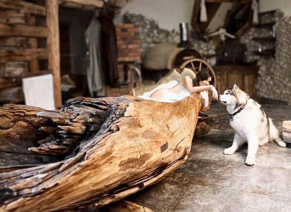 Animaux de compagnie acceptés