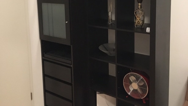 Ein Zimmer mit einem schwarzen Regal, einem Blumentopf, einem Ventilator und einer Glasschrank.