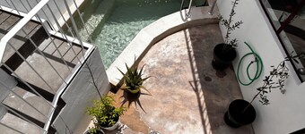 Casa do Largo, um Refúgio Encantador. Aceitam-se Animais de Estimação!