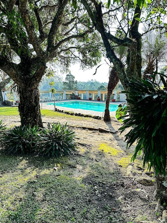 别墅 | 泳池 | 室外游泳池