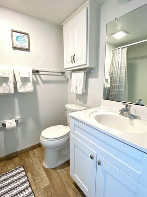 Sèche-cheveux, serviettes fournies, savon, papier toilette