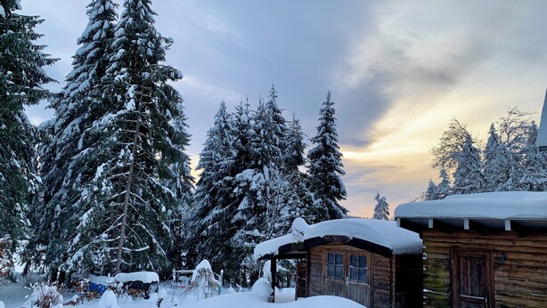Una cabaña rodeada de árboles cubiertos de nieve, con fachada de madera y un pequeño porche.