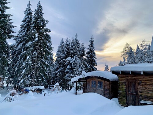 Gemütliches Studio direkt auf dem Rennsteig ,  mitten im Wald