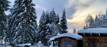 Gemütliches Ferienapartment auf dem Rennsteig