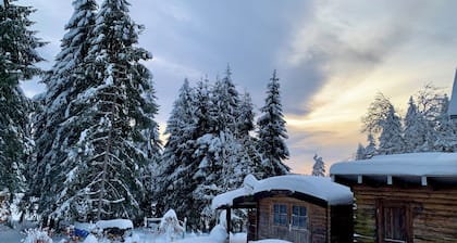 Gemütliches Studio direkt auf dem Rennsteig , mitten im Wald