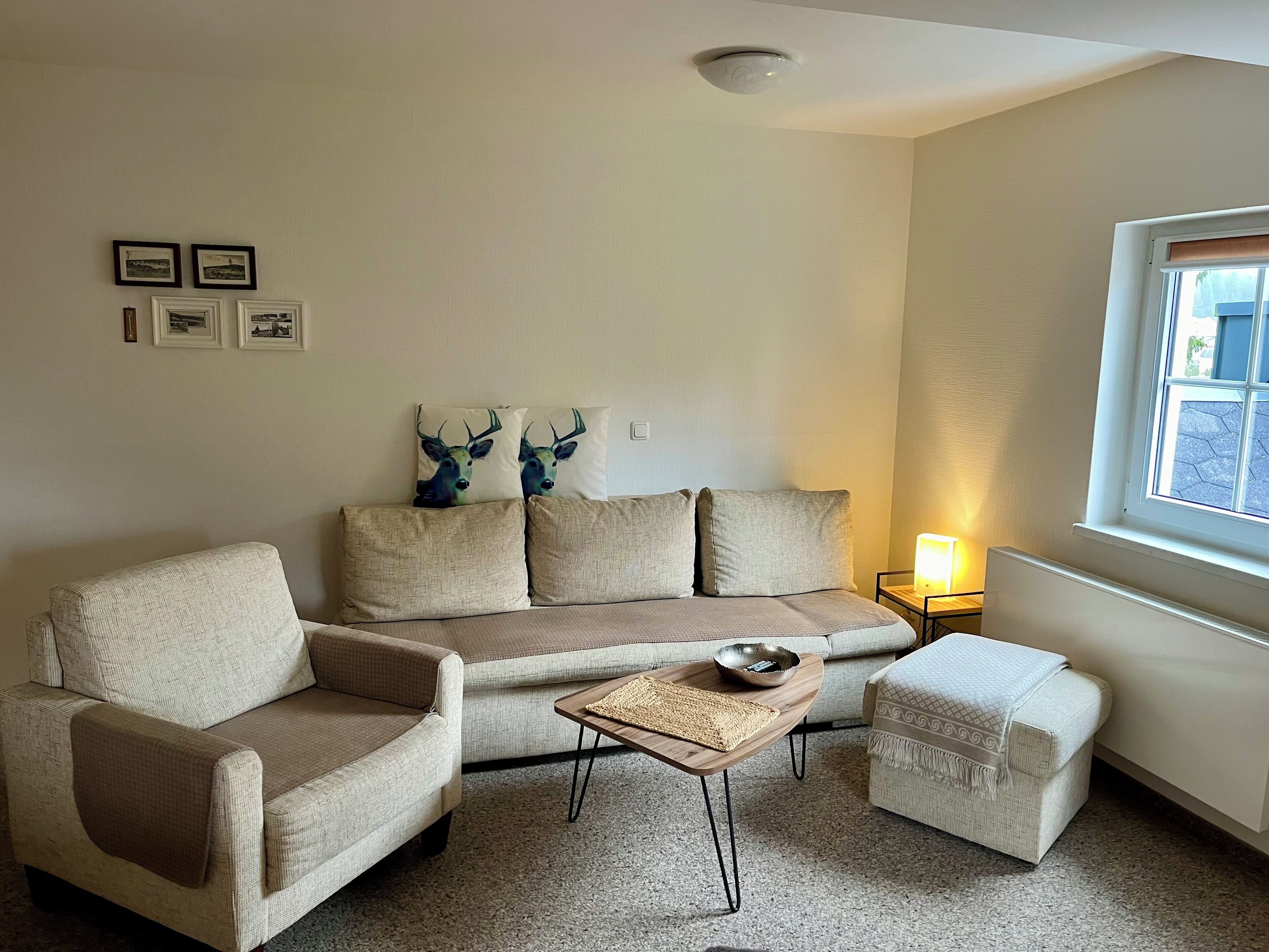 TV, libri, biblioteca musicale