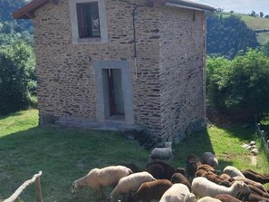 Un bâtiment en pierre avec une petite porte et une fenêtre, entouré d’une zone herbeuse où paît un troupeau de moutons.