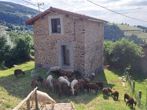A stone house with a small window and door, surrounded by a grassy area with sheep grazing.