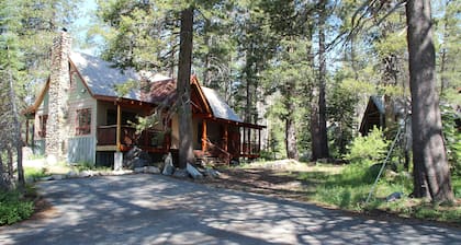 Scandinavian Style 3-bedroom cabin in delightful Soda Springs with WiFi
