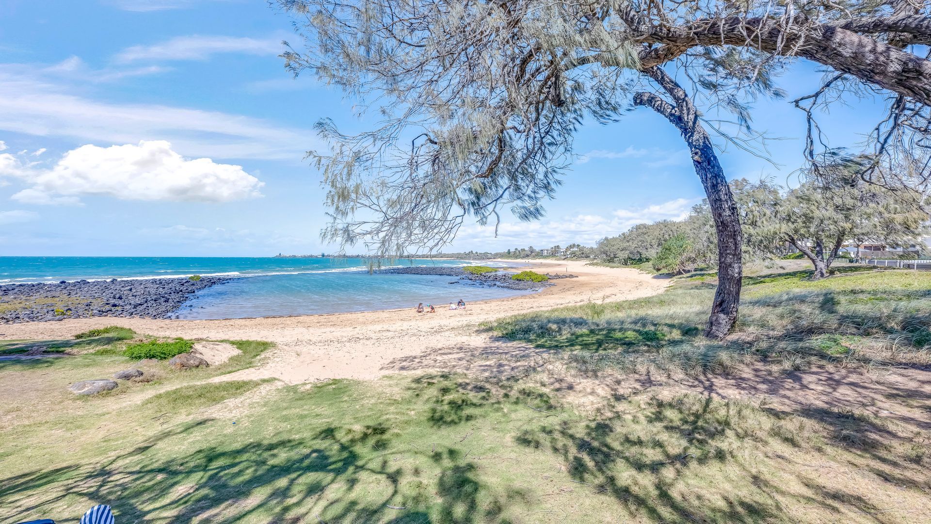Une plage avec un ciel dégagé, un rivage sablonneux et un arbre au premier plan.