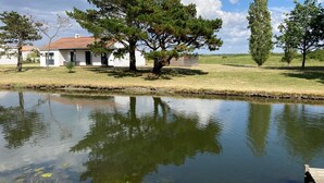 Una propiedad tranquila junto al lago con un edificio blanco, un árbol grande y un cielo despejado.