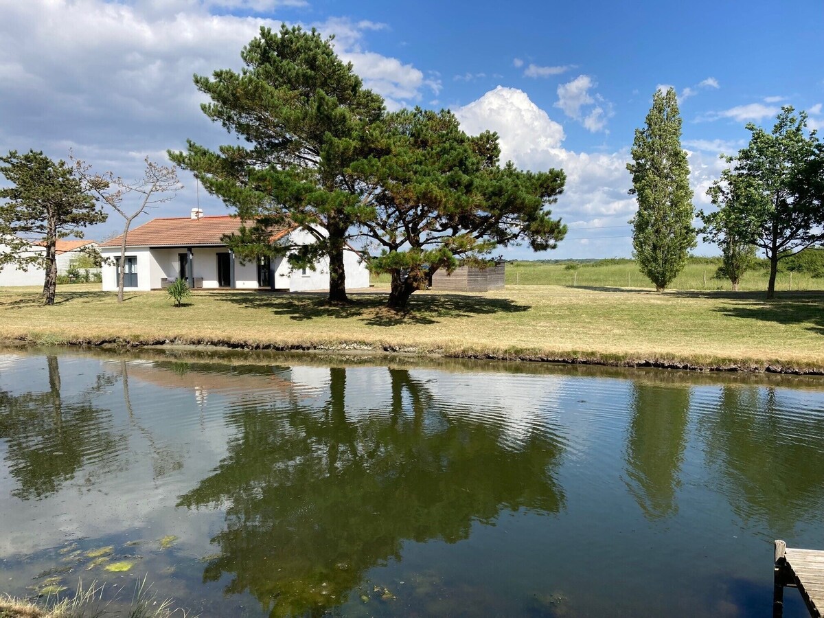 Bild für Gastgeberprofil