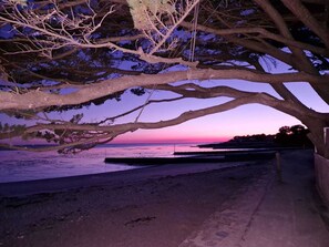 A beach scene with a tree providing shade over the sand, a pier extending into the water, and a sunset in the background.