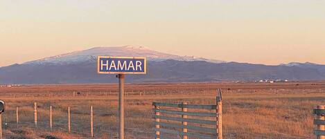 Vista desde la propiedad