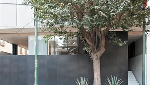 A tree with a modern building in the background. - Gorgeous studio with WiFi in Napoles (Napoles)