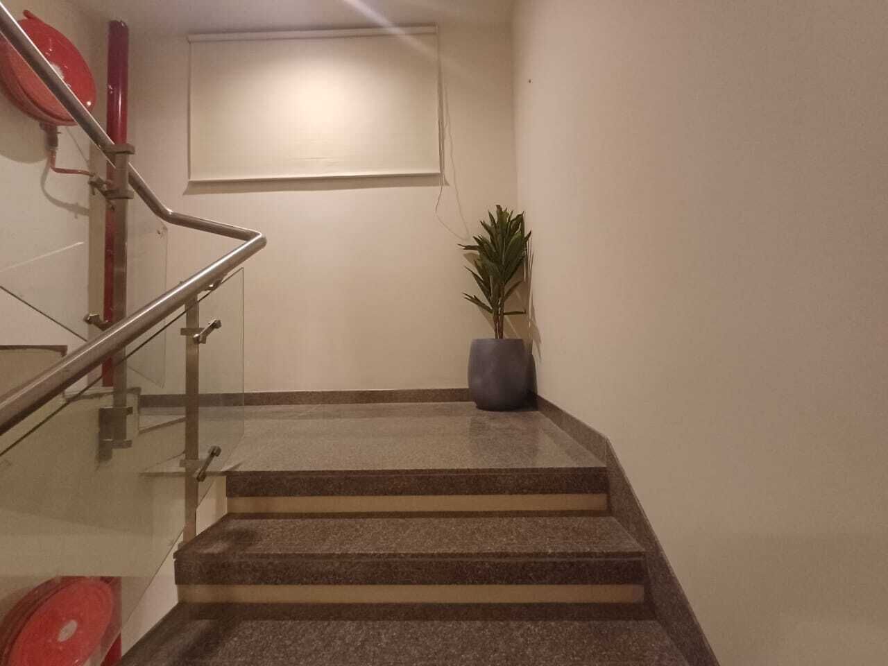 A staircase with metal railings, a potted plant, and a window in the background.