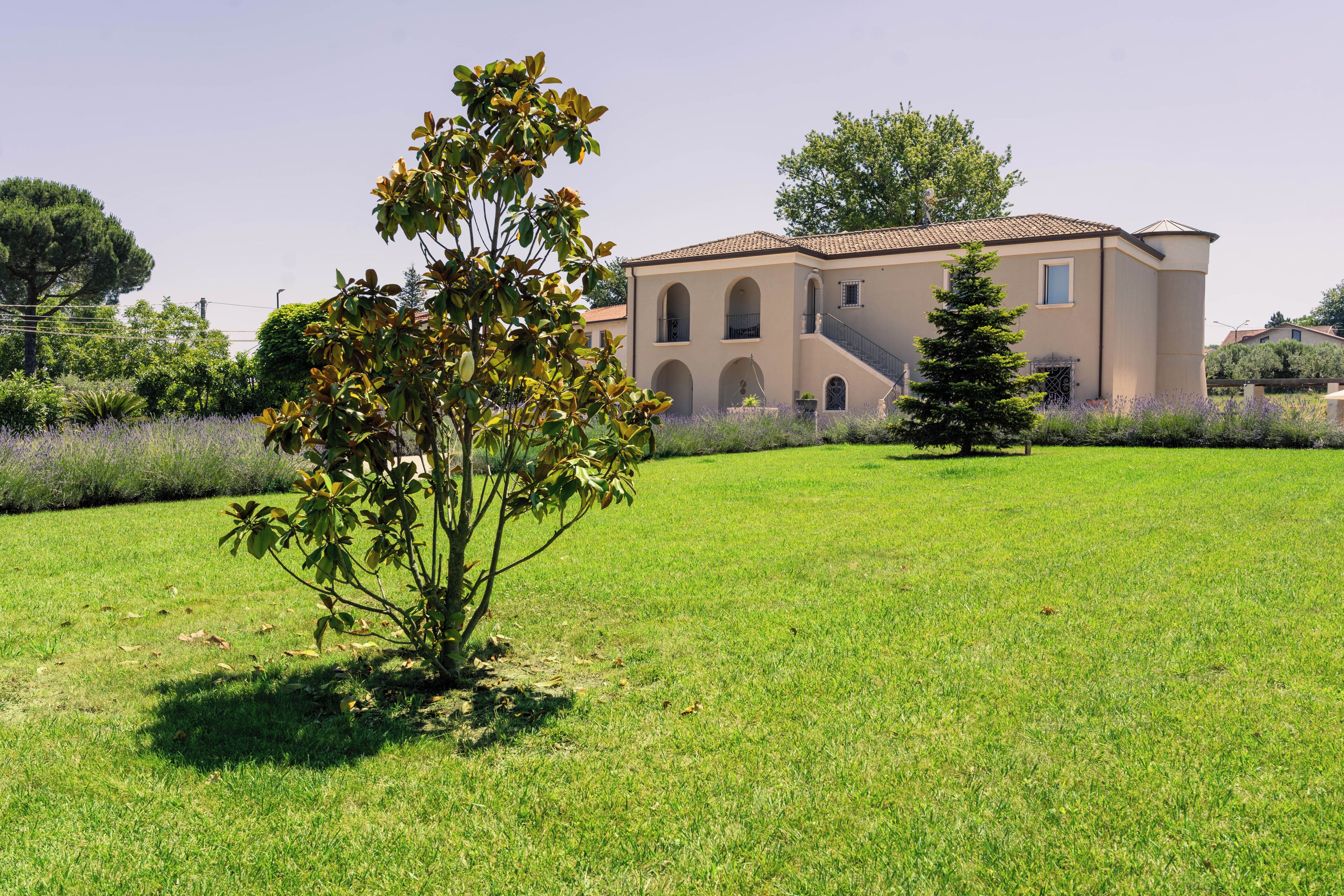Una casa con jardín, césped y un árbol.