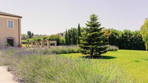 A residential area with a well-maintained lawn, a small tree, and a building with a balcony. - Ayma B&B (Mirabella Eclano)