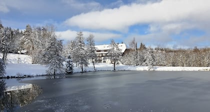 Ferienwohnung Seeblick mit Balkon - Mein Schwarzwaldhäusle