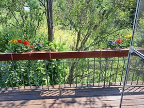 Àrea exterior de l'allotjament