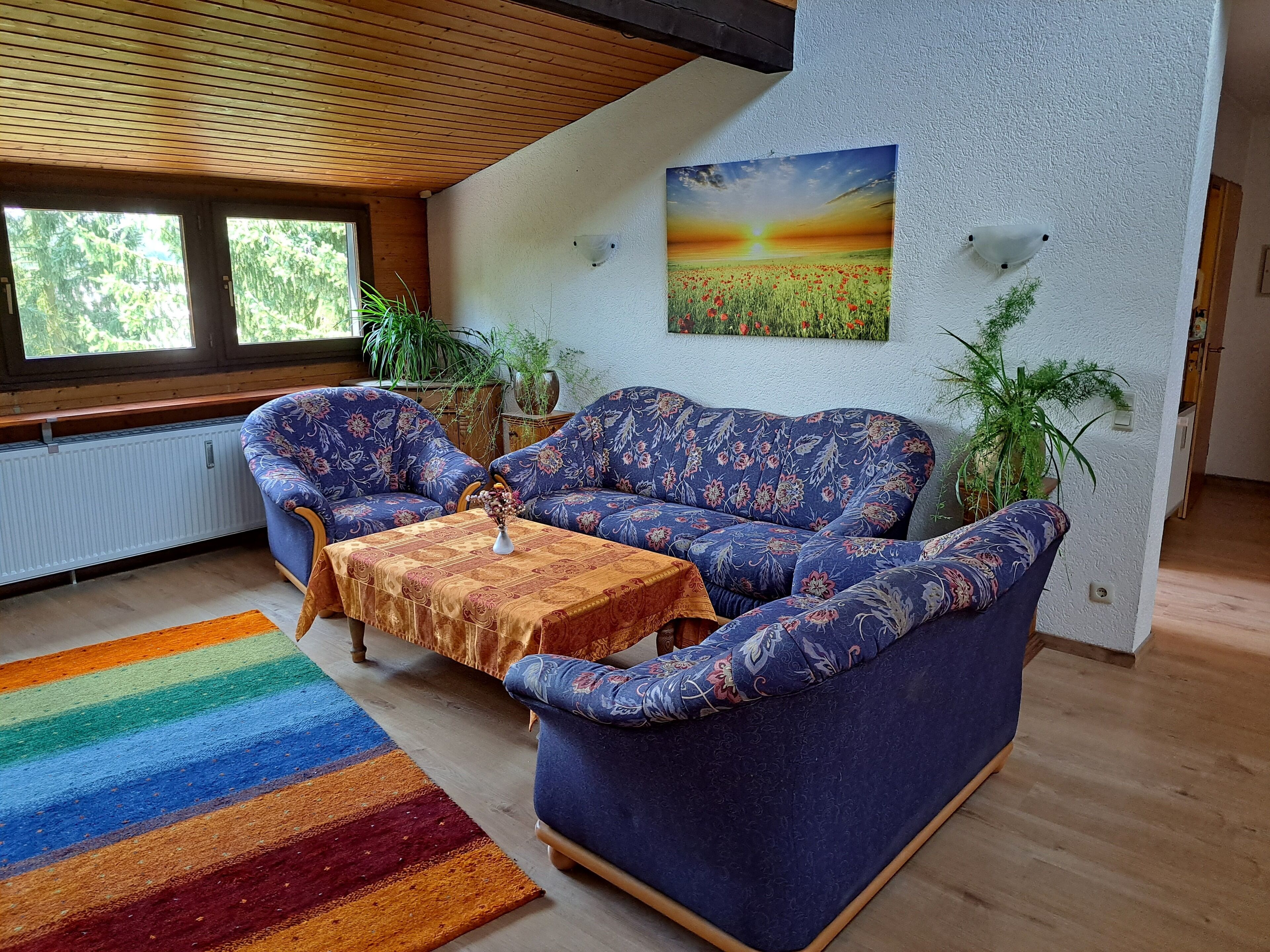 Televisor intel·ligent i llibres 