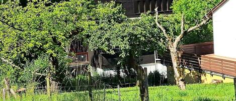 المنطقة المحيطة بالمنشأة