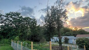 A fenced garden area with a wooden gate, surrounded by greenery and trees. - More then a Motel With Garden , Renovated Rooms at heart of Boothbay (Boothbay)