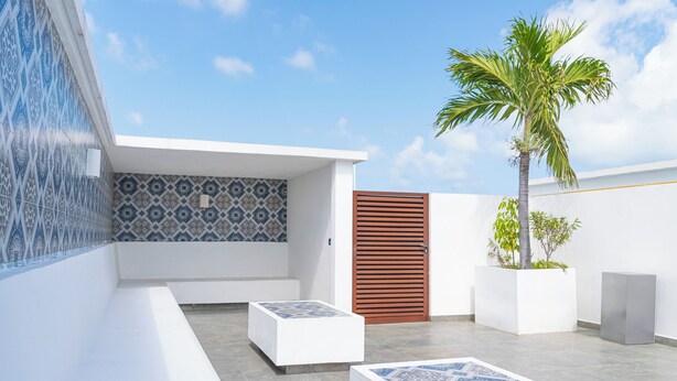 A modern outdoor patio with a patterned tile wall, a palm tree, and a wooden door. - Quinto Sol Tulum (Tulum)