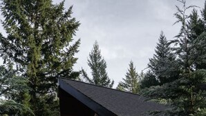 Une cabane dotée d’une terrasse en bois, entourée d’une forêt dense.