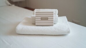 Ducha, secador de pelo, bidet, toallas