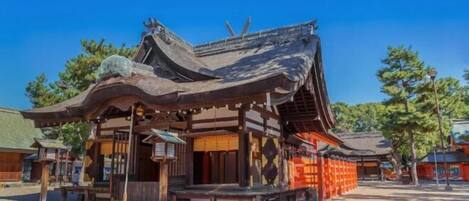 Vista desde la propiedad