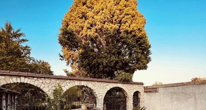 Magnifique Maison d'artiste | La Maison Aerts