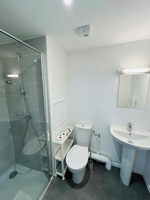 Secador de cabelo, toalhas de banho