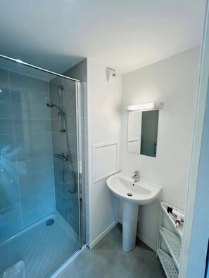 Eco-friendly toiletries, hair dryer, towels