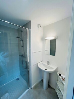 Eco-friendly toiletries, hair dryer, towels