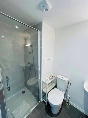 Shower, hair dryer, towels