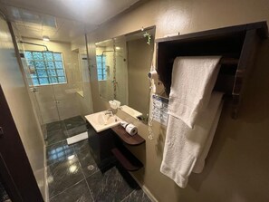 Hair dryer, towels, soap, shampoo