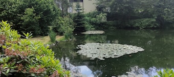 Ferienwohnung Fürst Metternich in Bad Elster