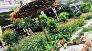 Un giardino con diverse piante e fiori, un ombrellone di paglia e un sentiero in pietra.