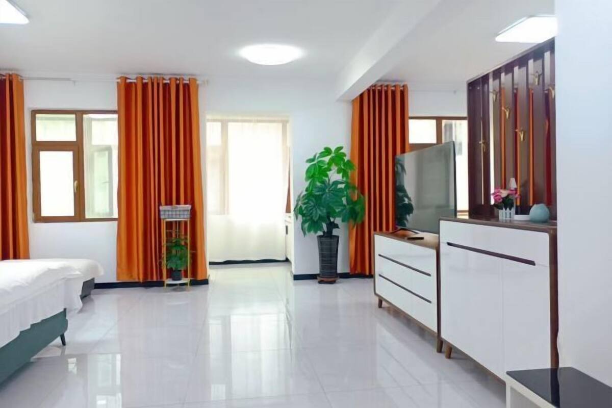 A hotel room with a bed, a TV, a dresser, a potted plant, and a window with curtains.