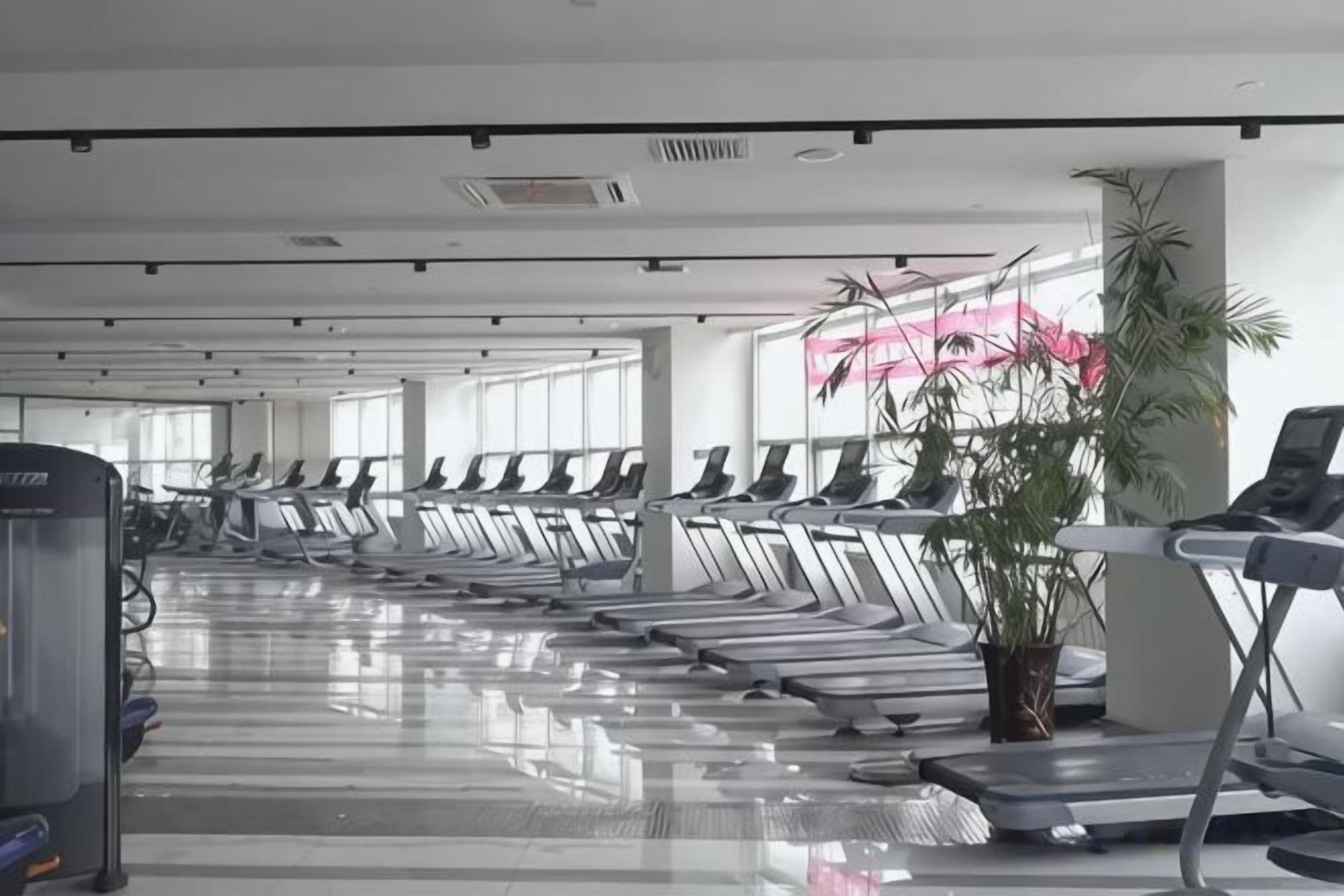 A gym with treadmills lined up in rows, a stationary bike, and a potted plant.
