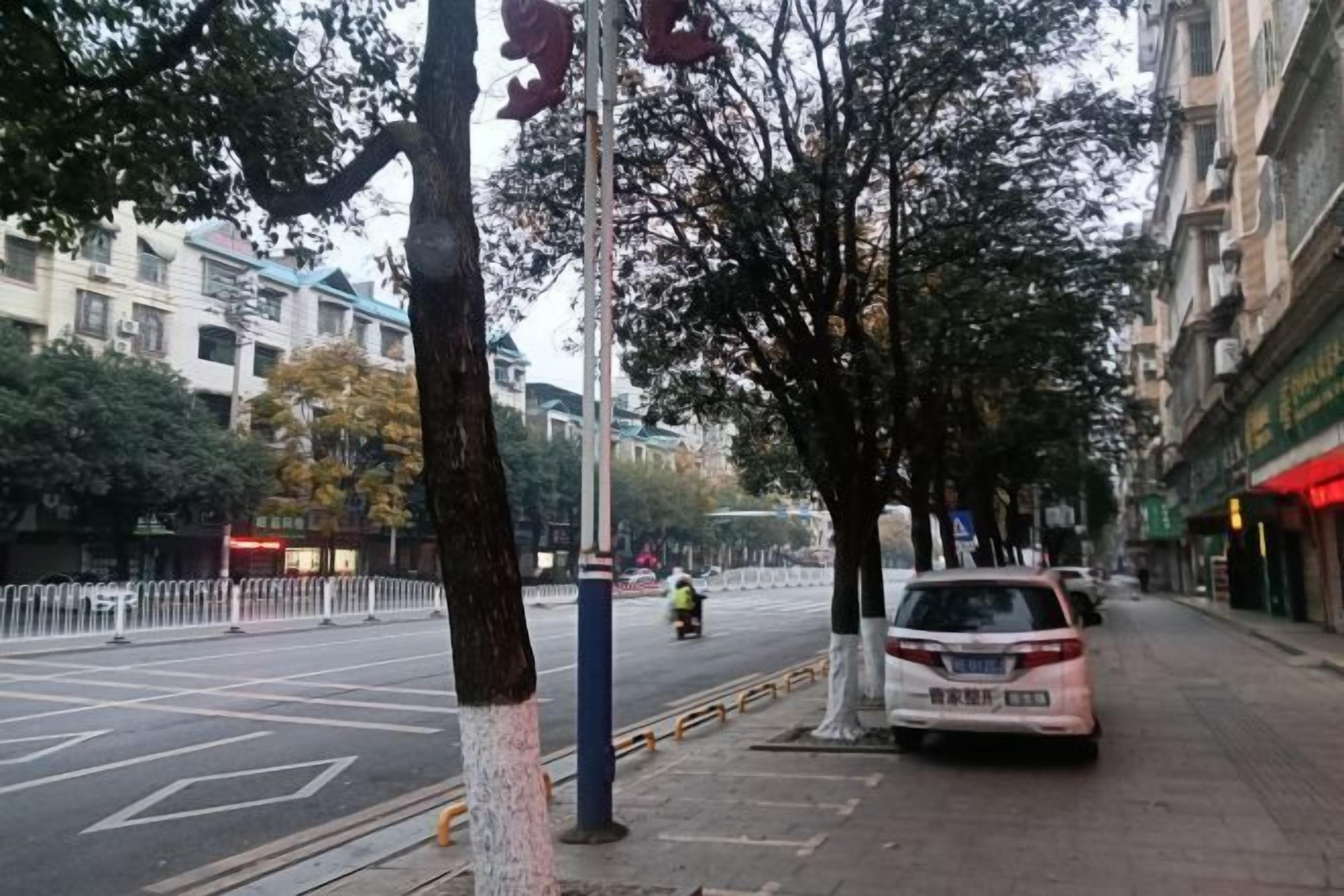 A street with trees, a parked car, and buildings in the background.