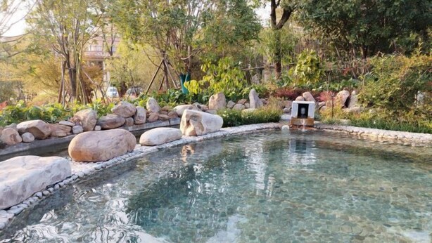 A clear pool surrounded by large rocks and lush greenery. - IU Hotels (Jingshan)