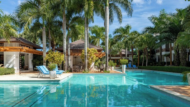 Une piscine avec des chaises longues et des palmiers.
