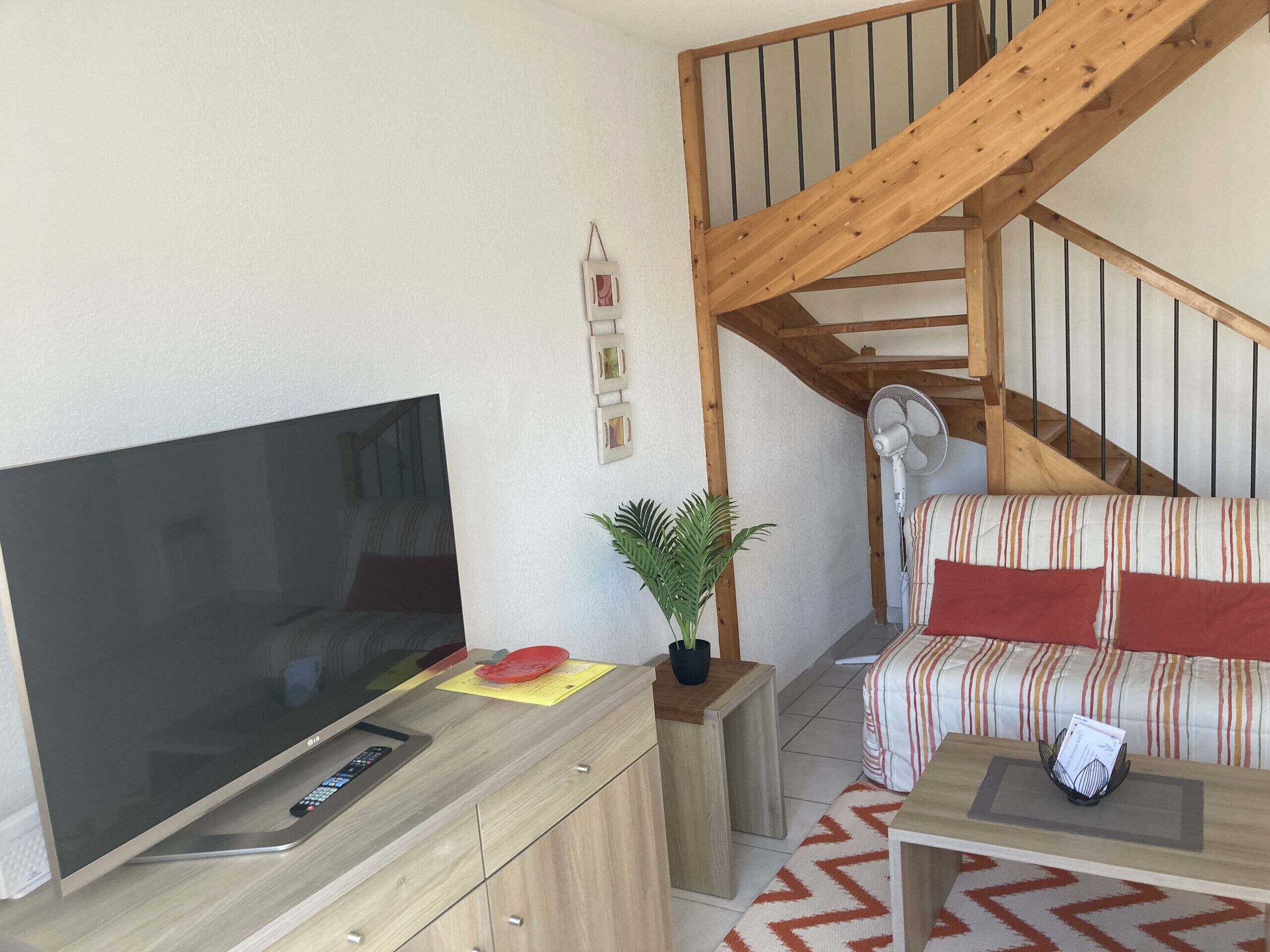 TV